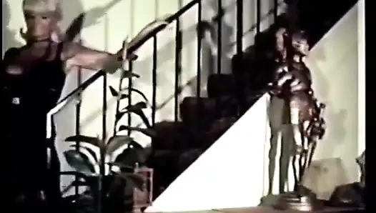 Enjoy Some Hot Scenes of Vintage Pornstar Candy Samples