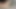 Dlakava guzica željno uzima crveni dildo - luda studentica