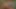 Flower и Courtney сквиртуют, когда они принимают это в задницу