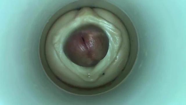 Cum Model