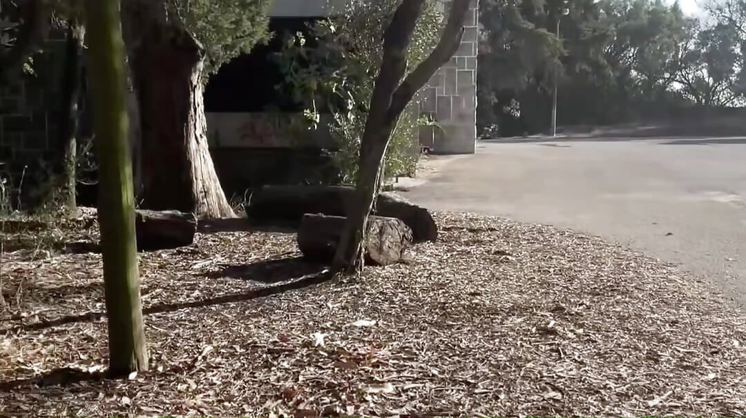 Amateur Straight Boy Caught Peeing Outdoors