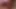 Cocksucking shemale assbanged hard