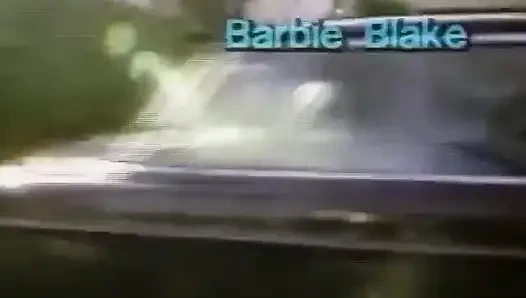 Classic Porn Dvds: the Pleasure Spot: Part 1