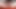 Solo #12 (Using electric toothbrush on my rigid uncut cock and then wanking furiously to a big super close up load)