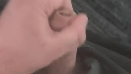 Şişman, Tüylü Ayı Ofiste Mastürbasyon Yapıyor Ve Yere Sıçrayıyor