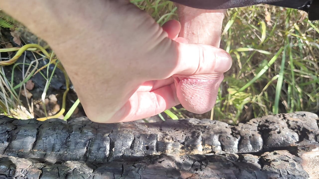 so much delicious sperm - jerking off on burnt tree