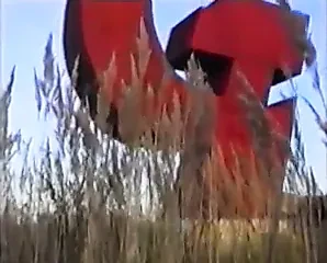 made in russia