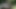 いたずらな十代は森の中で成熟したガイドに犯される