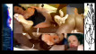 Pratinjau video