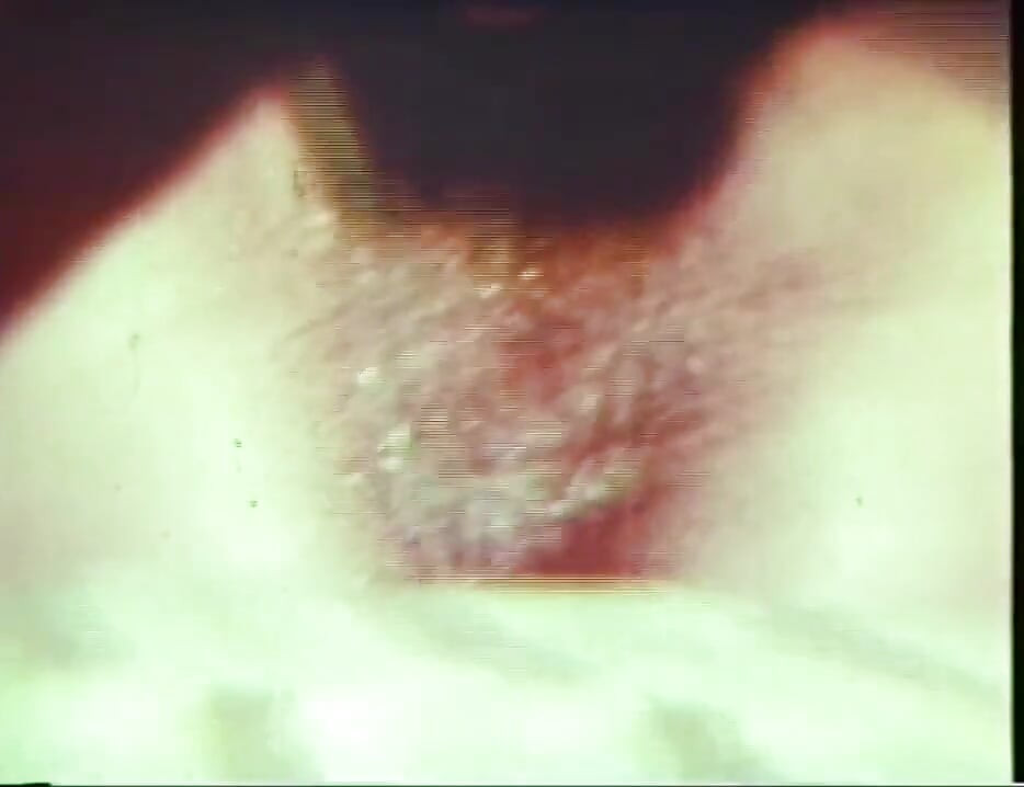 Legenden om porno - USA 1969, begyndelsen - Scene 02