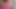 欲求不満な義母が家で退屈し、婿とセックスする