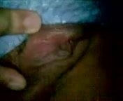 pussy playing 2