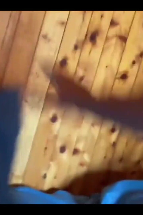 Fucked My Roommate on Vacation at Sea