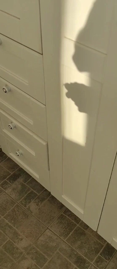 See through the shadows