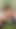Key moment from "My 42f lesbian Russian stepsister saw me outdoors fucking myself in her sweater by her window and the"