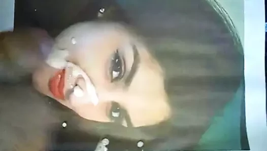 Misafir01