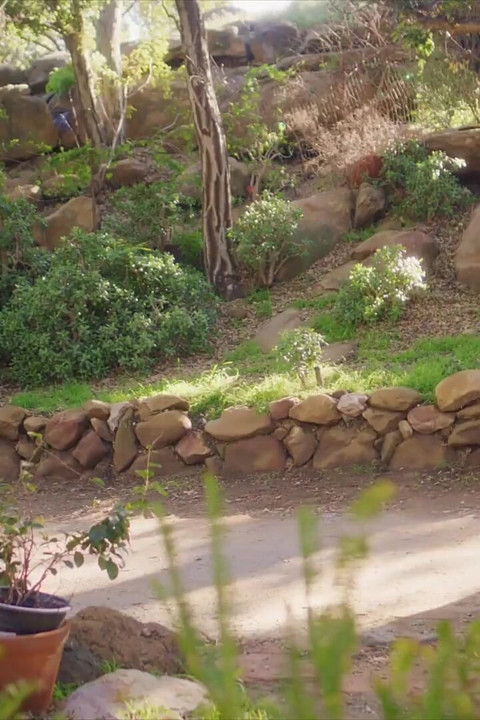 Milfy Officer Sweet Vickie Teaches Her Bad Boy Ex a Lesson