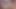 5 Twinks und kommen