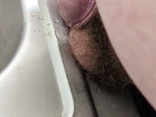 Chubby cub pissing in the sink
