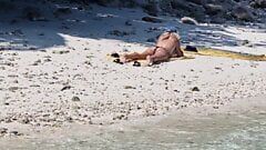 Voyeurs - समुद्र तट पर नग्न लड़की बिल्ली को छूती है