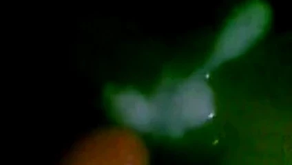 sperm handjob