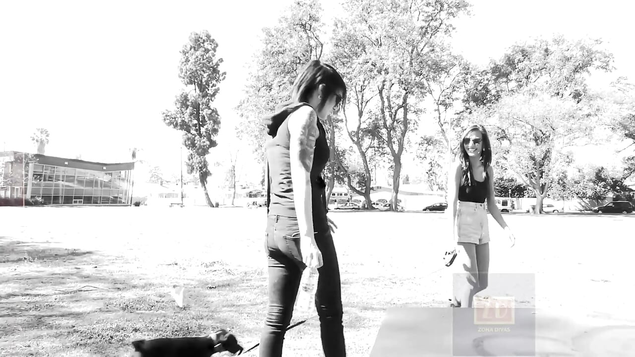 Acțiune lesbiană fierbinte clasică în bucătărie