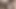 Hintli üniversiteli kız erkek arkadaşıyla velentine günü özel günü sikişiyor yeni Hintçe seks videosu xxx