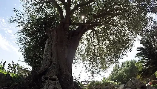 Розовая съемка