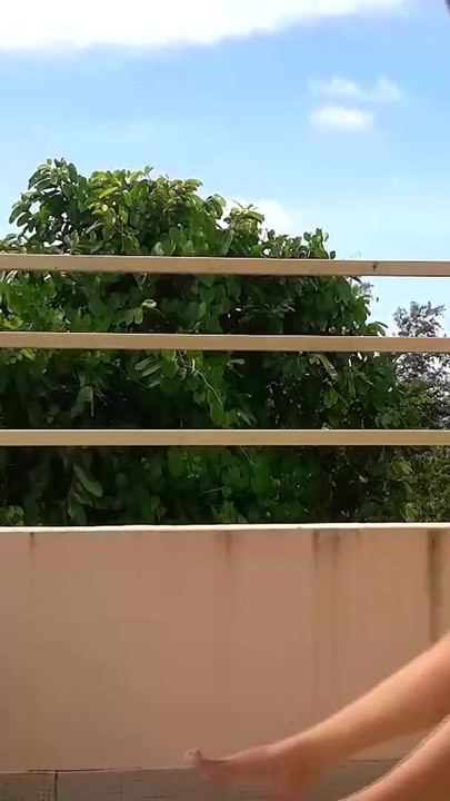 Schöne dame schwingt ohne höschen auf einer schaukel im freien. Zeitlupe 127 1 | Clip 1