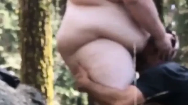 Bear Forest