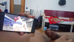 Pregled videozapisa