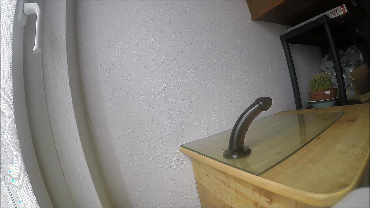 Jeg sutter min dildo dybt i halsen og savler.