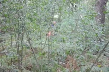 in a forrest with a photographer