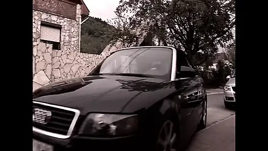 Vulgar Whimsical Pigsical Pig (film)