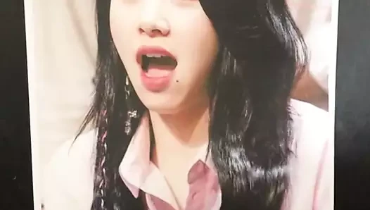 Dua kali Chaeyoung - penghormatan pancut