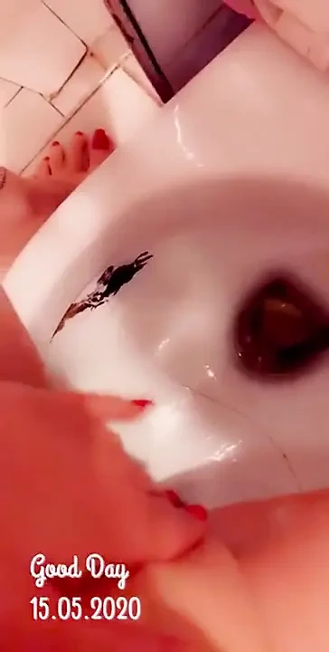 肛交和拳交和撒尿