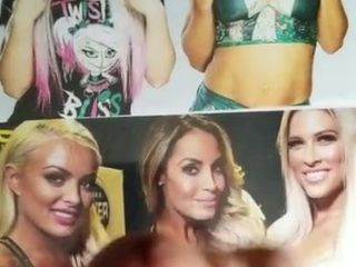 WWE Divas Royal CUMble 2