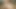 Skinny Guy Fucking his Super sized Fat BBW Ex Girlfriend