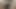 Indian Hairy Pussy Closeup #XMAS