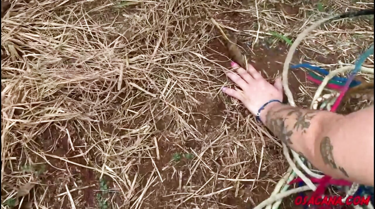 Beautiful Young Girl with Dreads Fucks Inside the Coffee Plantation