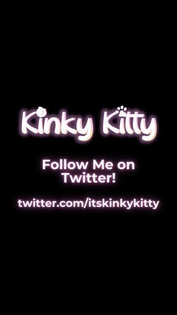 Kinky Kitty - remix vol. 38 - vida de un gatito