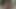 CAM pussy licking