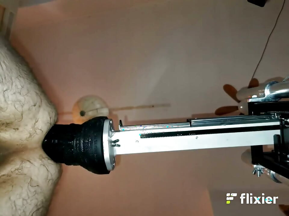 Mr. Hankey's Dragon Dildo Xl Full Insertion Doggy Anal Fucking Machine