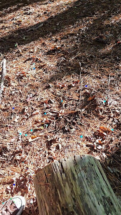 Naked quick cum on log seat while hiking along a wooded trail in public