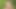 German twink jerks off naked outside until he cums