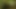 Tasks from the Master 20.08.2019