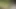 Guy caught having anal selfie orgasm