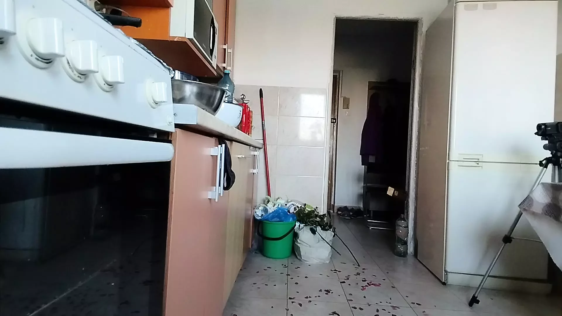 Sexy esposa divirtiéndose en la cocina con rosas.