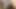 Bunnnyy_bunn1 video