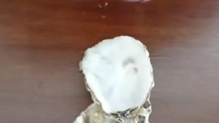 Die Auster füttern
